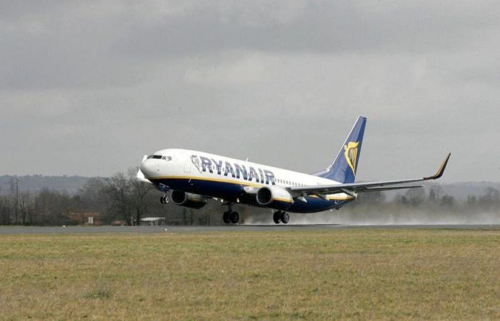 Ryanair droht damit, zehn französische Regionalflughäfen nicht mehr anzufliegen, wenn die Luftbesteuerung bestätigt wird