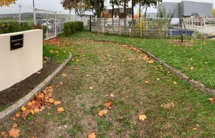 Diese Stadt im Val-d’Oise eröffnet einen Garten der Erinnerung an die Tiere