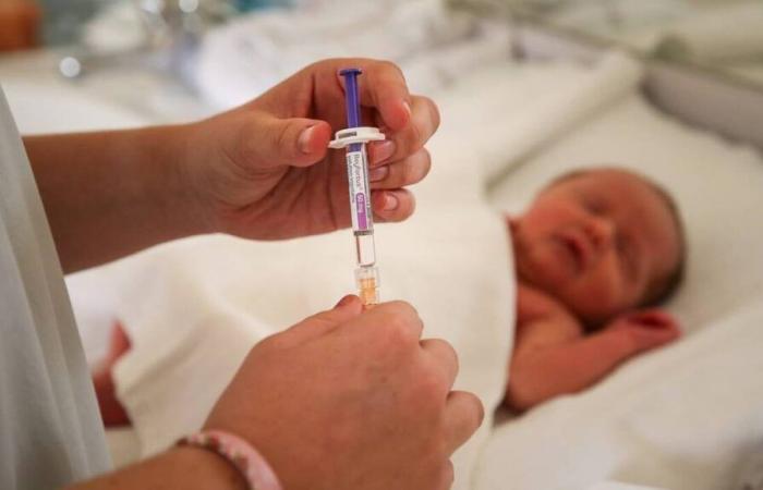 „Wir laufen Gefahr, Säuglinge im Krankenhaus nicht mehr immunisieren zu können“