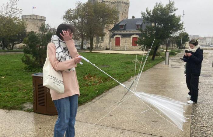 Sturm Caetano: 130 km/h in der Charente-Maritime und Tausende Haushalte in den beiden Charentes ohne Strom