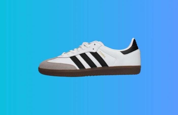 Rekordpreis diese Woche für die Star-Sneaker des Jahres 2024