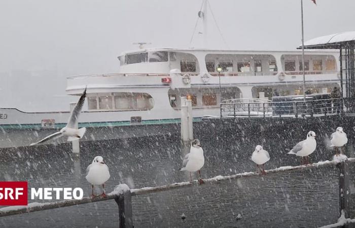 Schnee bis ins Flachland – Die Schweiz im Winterkleid – Meteo