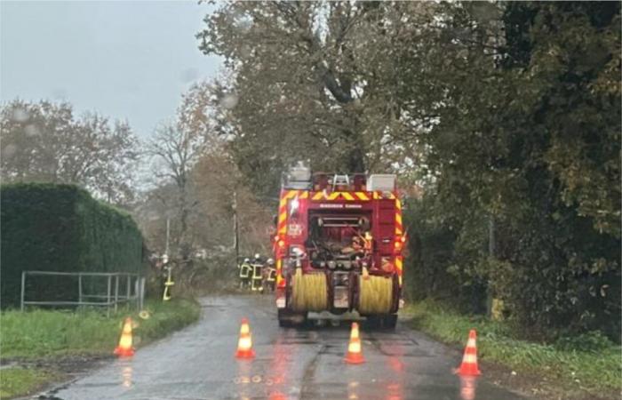 Blockierte Straßen, Stromausfälle… Die Folgen des Caetano-Sturms in der Süd-Gironde