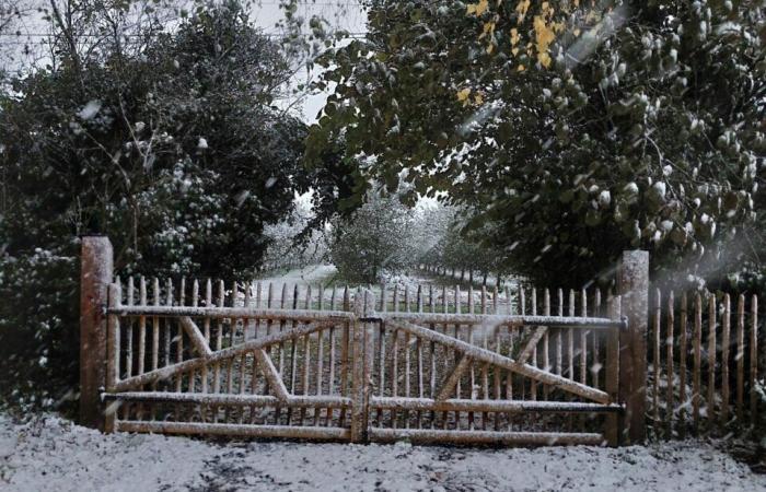 Ihre schönsten Fotos in der Region Pont-Audemer