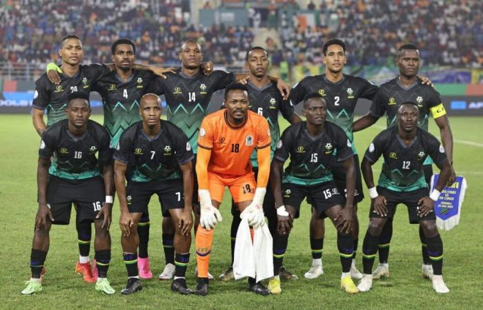 Guinea beantragt, Tansania bei der AFCON zu ersetzen, nachdem der Ersatzspieler im Qualifikationsspiel angeblich die falsche Nummer getragen hatte