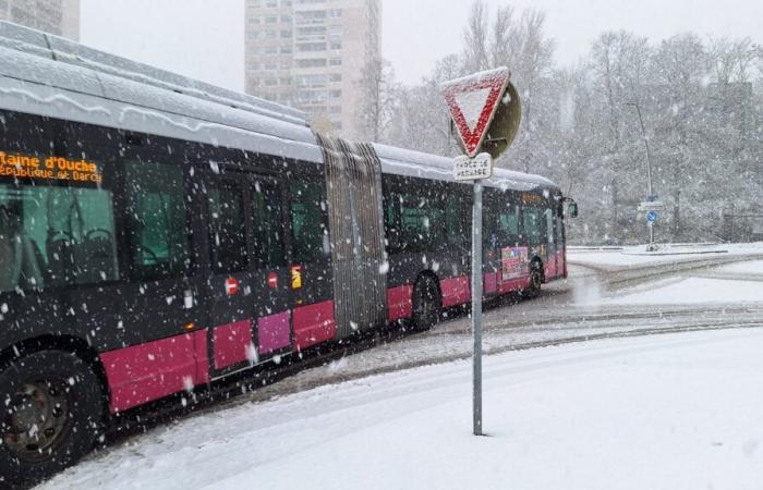 LIVE: Schnee in der Metropole, die Lage wird immer komplizierter!