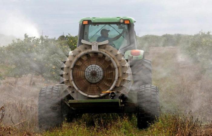 In Europa zugelassene Pestizide sollten „auch in Frankreich zugelassen werden“, betont der Landwirtschaftsminister