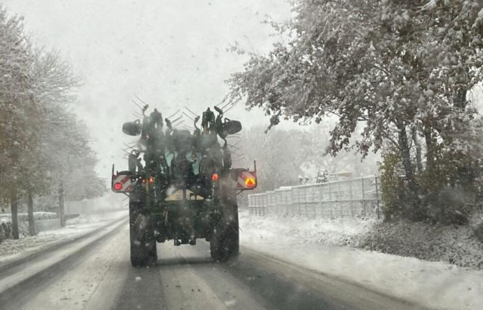 IN BILDERN. Das Land Flers erwacht unter dem Schnee: eine Weihnachtsdekoration