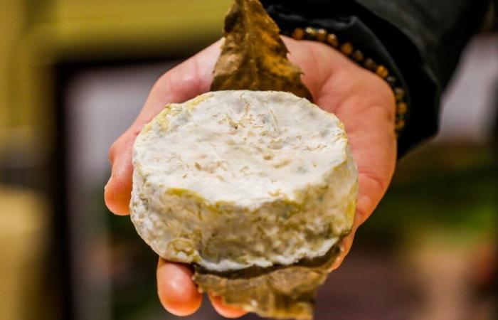 Mothais on Leaf gewinnt die 16. AOC für Ziegenkäse in Frankreich