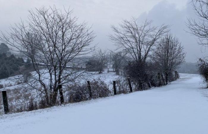 Ja, wir haben in der Vorhersage für nächste Woche das Wort „Schnee“ verwendet