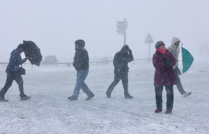 Schnee im Harz: Aber Tourismusverband rät vom Rodeln ab | News