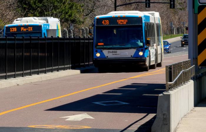 Wirtschaftsupdate in Quebec | Hilfe von 870 Millionen für Transportunternehmen