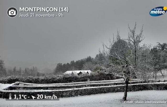 Wetterüberwachung: Windrekord in Nantes mit 121 km/h gebrochen