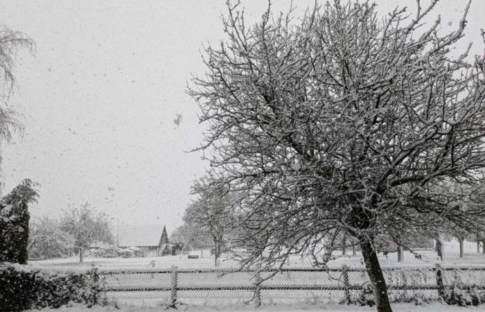 Ihre schönsten Fotos in der Region Pont-Audemer