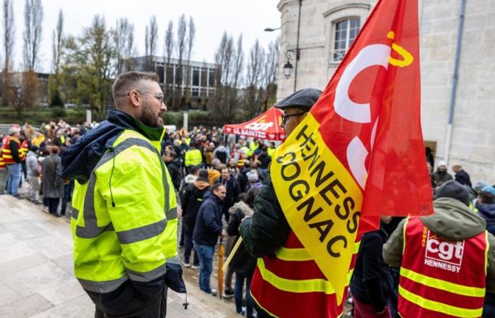 „Bleiben Sie an Ihrem gewählten Platz“: Angesichts von Hennessys Plan, Cognac in großen Mengen nach China zu schicken, zögern gewählte Beamte