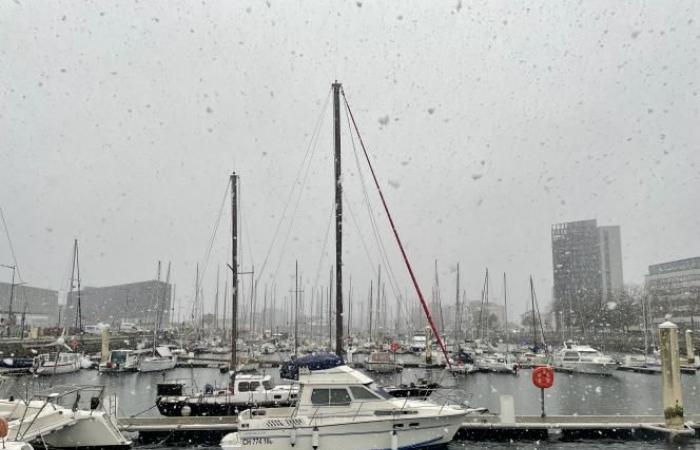 Wetterbericht. Alarmstufe Orange in Seine-Maritime: Endlich schneit es in Le Havre