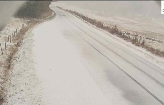 Schnee fällt diesen Donnerstag in Okzitanien, Bilder in Lozère