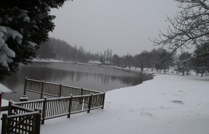 IN BILDERN. Das Land Flers erwacht unter dem Schnee: eine Weihnachtsdekoration