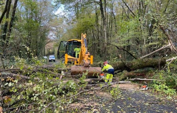 Bäume auf der Straße in der Charente-Limousine, 4160 Häuser haben keinen Strom, der Caetano-Sturm macht auch vor der Charente keinen Halt