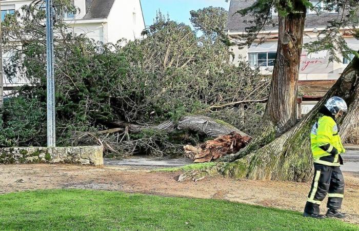 Überschwemmungen, entwurzelte Bäume, zerrissene Stromleitungen … Der Sturm richtet in Carnac großen Schaden an