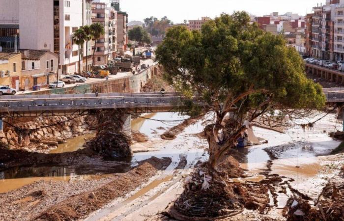 Wie man Mittelmeerstädte nach Valencia an Überschwemmungen anpassen kann