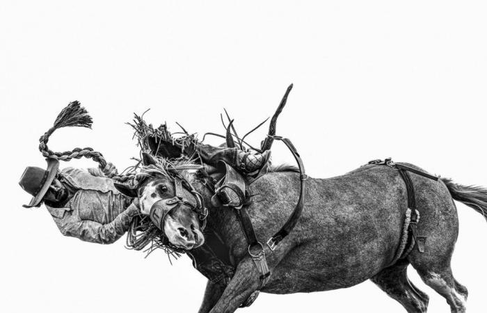 The Images Publishing Group: Anouk Krantz: Frontier: Cowboys of the Americas