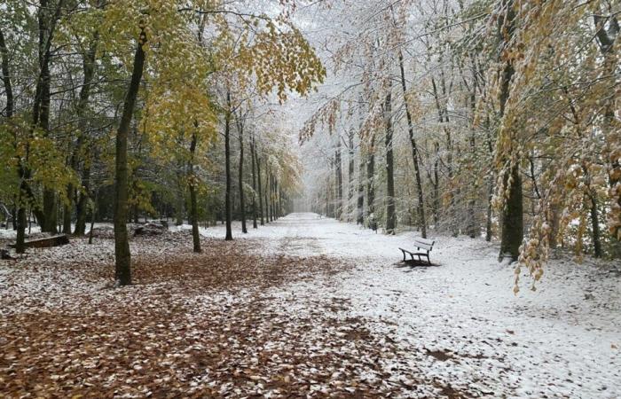 IN BILDERN. Das Land Flers erwacht unter dem Schnee: eine Weihnachtsdekoration