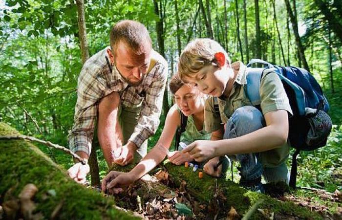 Veranstaltungen in France Bleu Picardie vom 25. November bis 1. Dezember 2024