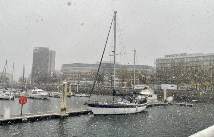 Wetterbericht. Alarmstufe Orange in Seine-Maritime: Endlich schneit es in Le Havre