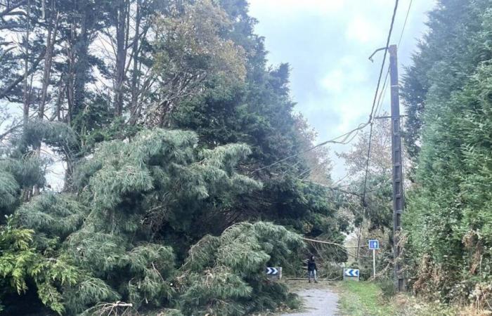 Sturm Caetano. In der Loire-Atlantique sind 40.000 Haushalte ohne Strom