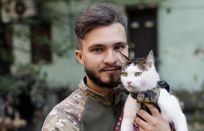 In der Ukraine sind Katzen und Hunde treue Waffengefährten