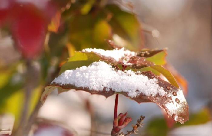 Wie wird das Wetter in Avranches und Umgebung am Donnerstag, den 21. November 2024 sein?