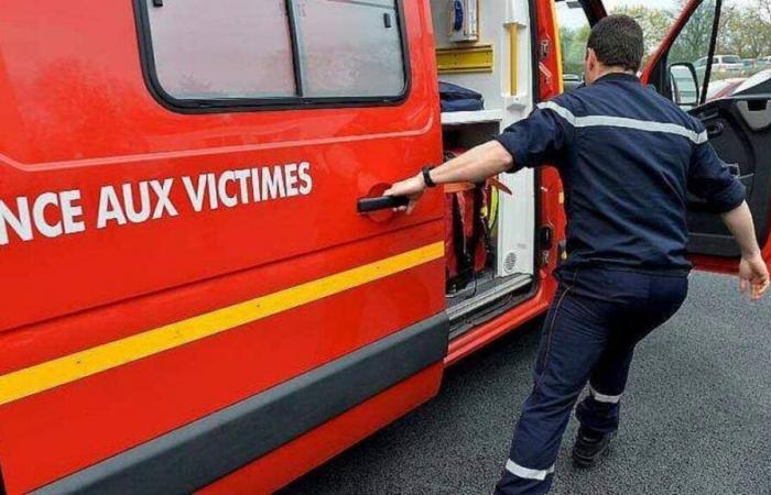 Sturm Caetano. Ein Autofahrer wurde nördlich von Nantes durch einen umstürzenden Baum schwer verletzt