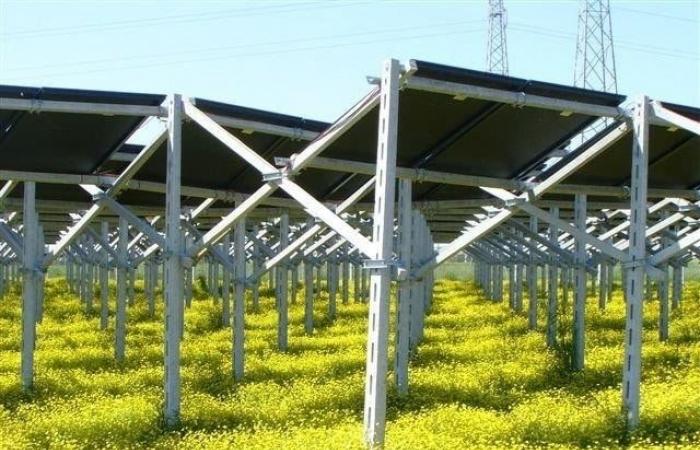 Inbetriebnahme des Agri-PV-Projekts