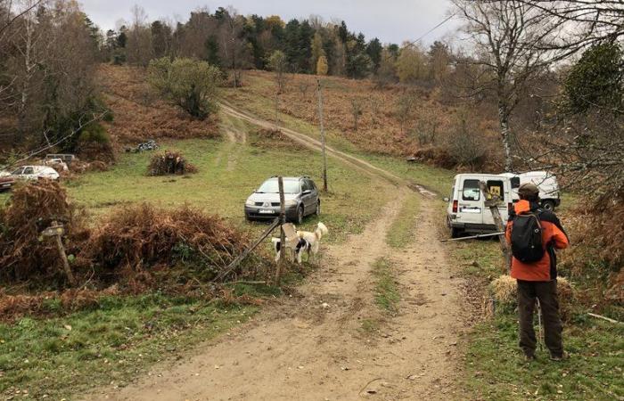 BERICHTERSTATTUNG. Verschwinden von Fadila: „Vielleicht ist sie bei einem Fluchtversuch gestürzt …“ Verwandte führten die letzte Chance-Jagd an