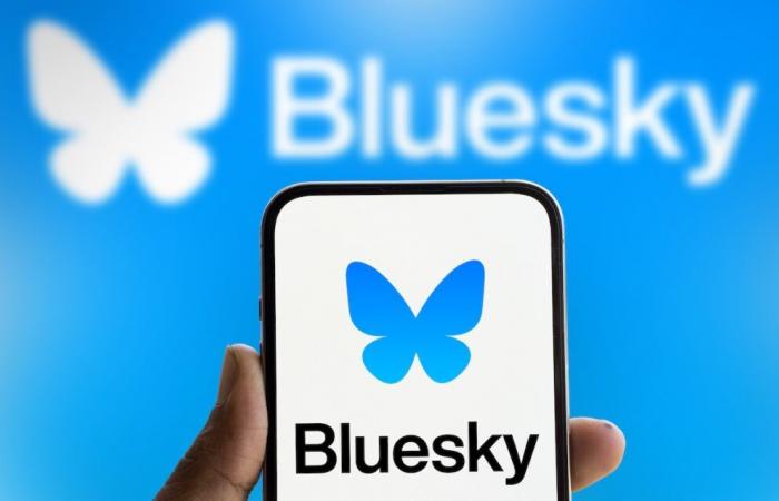 Bluesky, der Schmetterling, der OL wieder mit seiner Gemeinschaft verbinden muss