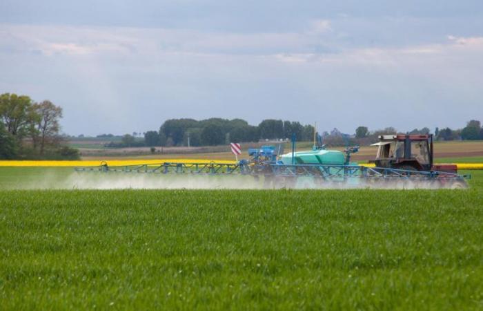 Die Präfektur gibt dem Druck der Landwirte nach und weitet die Ausbringung von Stickstoffdüngern aus