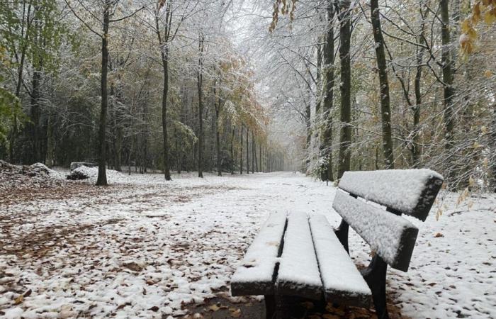 IN BILDERN. Das Land Flers erwacht unter dem Schnee: eine Weihnachtsdekoration