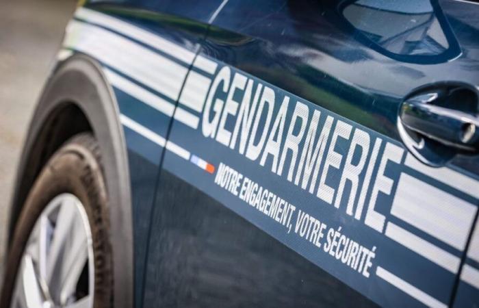 Mord in Chavelot: Die Staatsanwaltschaft fordert Anklage und vorläufige Inhaftierung des 71-jährigen Verdächtigen