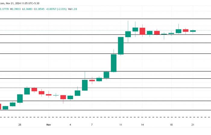 Der Preis von Dogecoin ist noch nicht zu Ende gestiegen