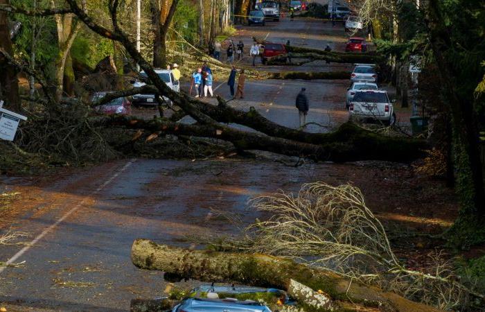 Ein Bombenzyklon tötet zwei Menschen, in Washington und Seattle fällt der Strom aus, während eine neue Bedrohung für die Westküste droht