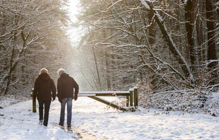 54 Abteilungen in Alarmbereitschaft vor dem Sturm Caetano