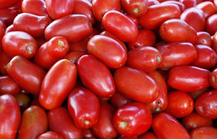 Tomatenverkäufer werden von der Präfektur Mayotte verstärkt überwacht