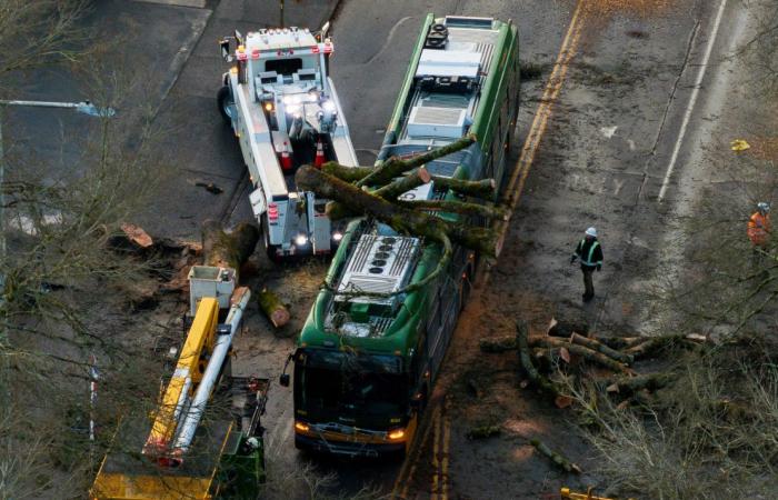 Ein Bombenzyklon tötet zwei Menschen, in Washington und Seattle fällt der Strom aus, während eine neue Bedrohung für die Westküste droht