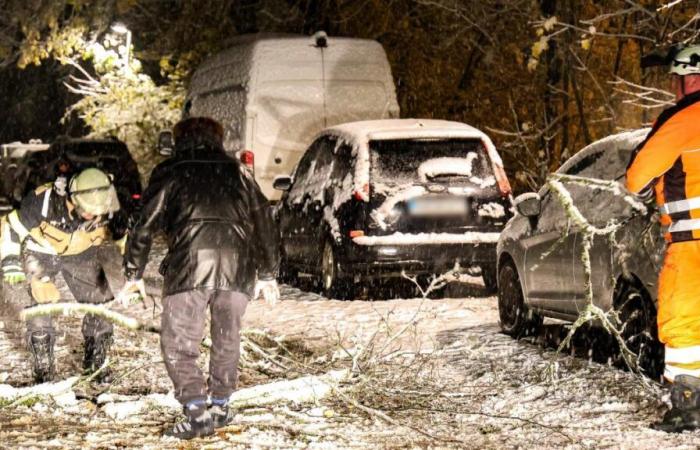 Deutscher Wetterdienst warnt vor Schneestürmen: “Gefahr für Leib und Leben”