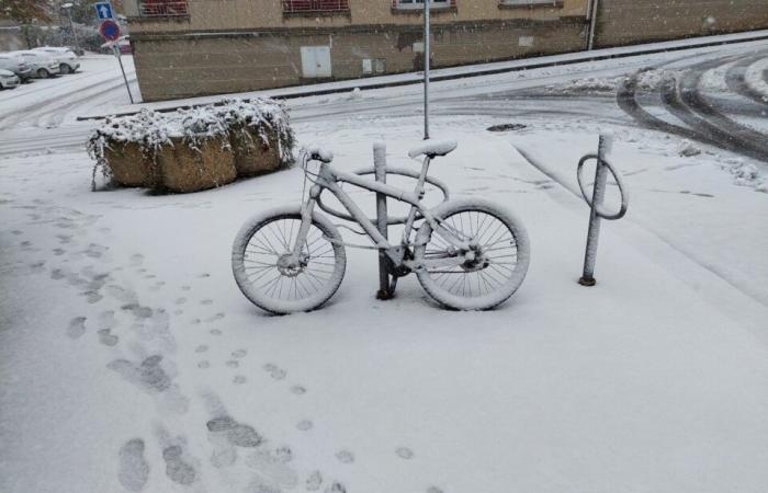 IN BILDERN. Das Land Flers erwacht unter dem Schnee: eine Weihnachtsdekoration