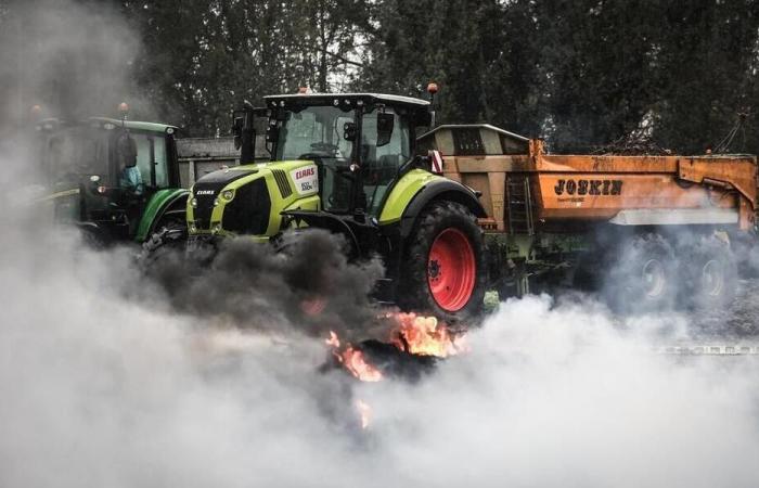 Wut der Landwirte: Der Präfekt der Landes wird eine Beschwerde gegen die Koordination einreichen