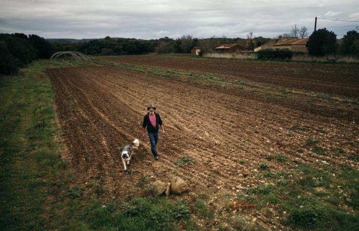 Die RSA-Reform schwächt die Landwirte