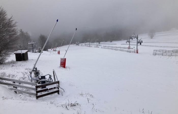 örtlich bis zu 20 cm zu erwarten, hier könnte es im Elsass zu Verkehrsschwierigkeiten kommen