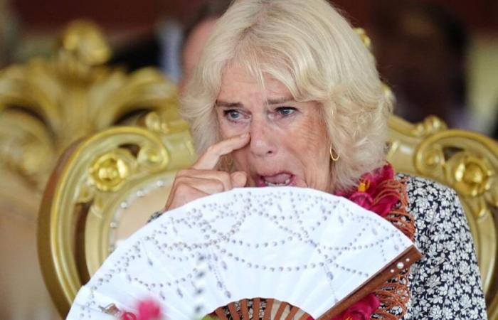 Camilla Parker-Bowles war angewidert von diesem „langen und lauten“ Furz, den Joe Biden ihr ins Gesicht schoss